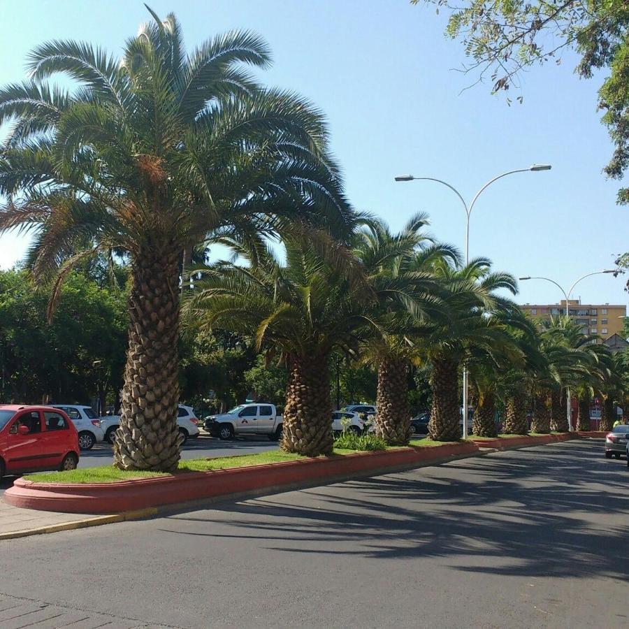 Casa Dos Leones Hotell Santiago Eksteriør bilde